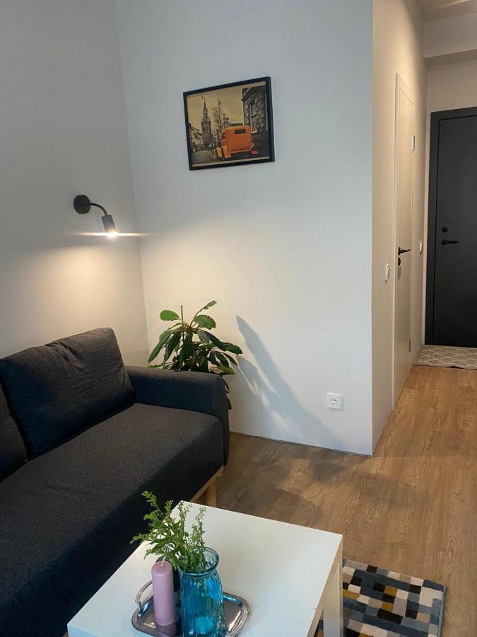 Lovekaunas Apartments Екстериор снимка